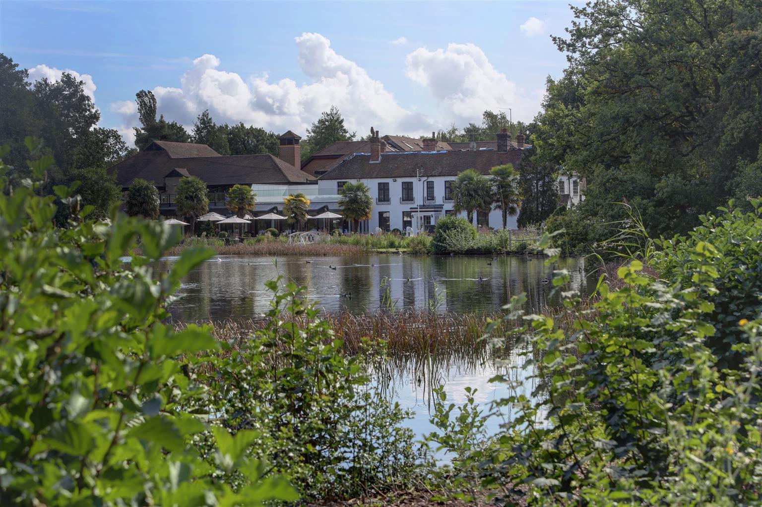 Frensham Pond Country House Hotel & Spa Farnham  Luaran gambar